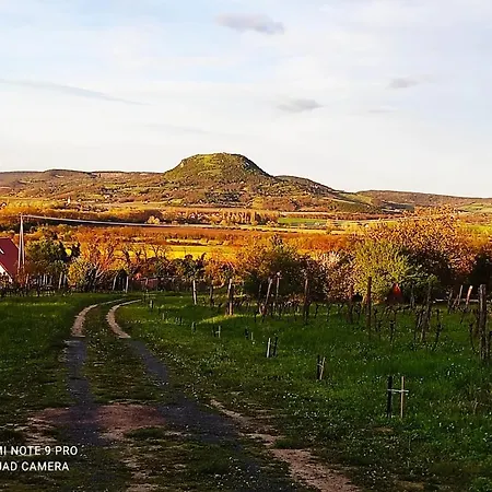 ágnes Almái ágnes Apples
